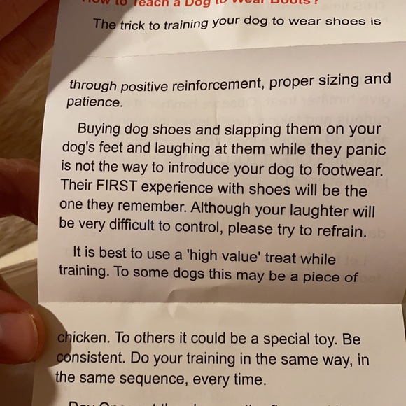 Doggie shoes- size 5 with rubber soles - Picture 15 of 15